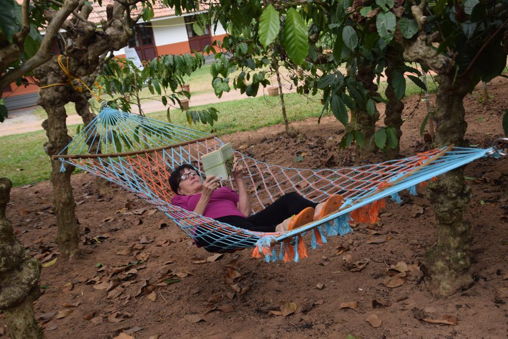 3 Hills County Kalpatta Ngoại thất bức ảnh